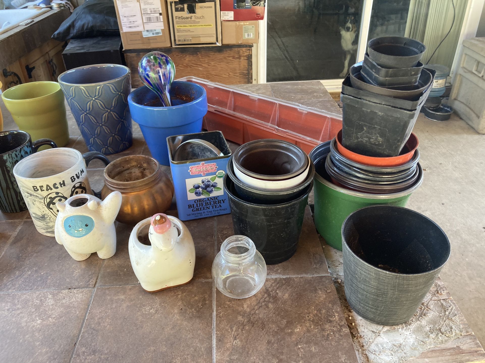 Plant Pots, Both Plastic And Ceramic