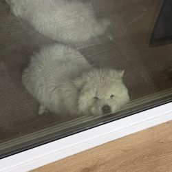 Couch/ Sectional Sofa/ Corduroy With Chaise 