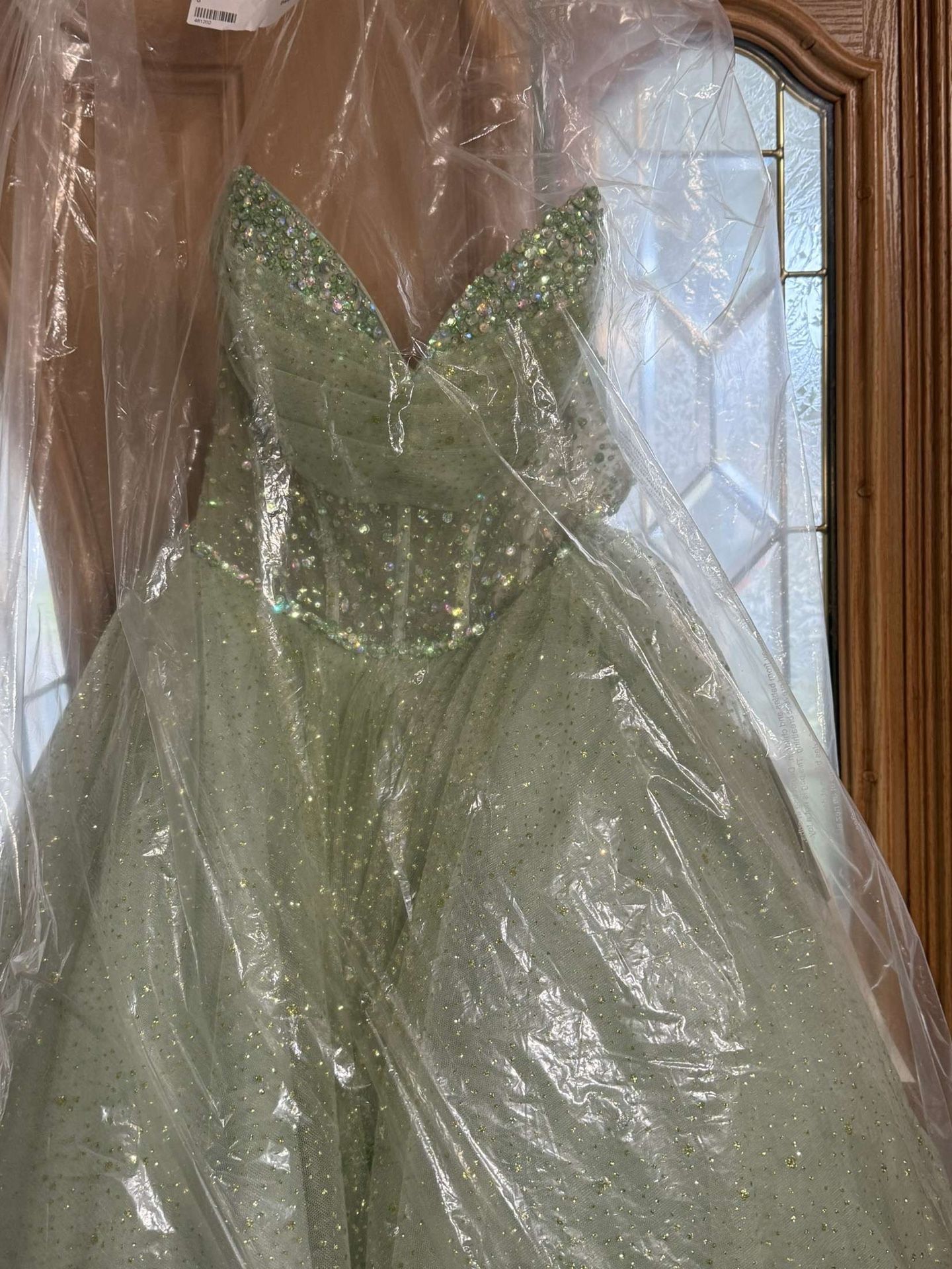 Vizcaya Quinceanera 60194
