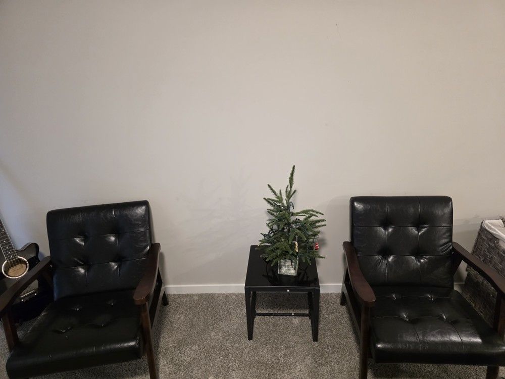 Two Blaxck Chairs Like New 3 month Old