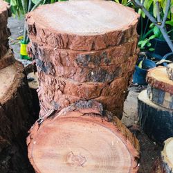Wood Slices