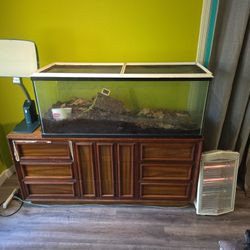 100 Gallon Terrarium / Aquarium