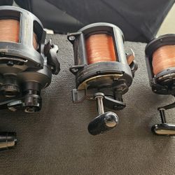 Fishing Reels