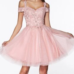 Pink Dress, Ex Small Fullerton, CA