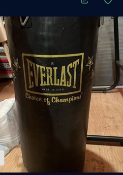 Everlast Punching Bag 