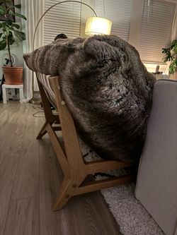 Pillowsac, a LoveSac giant pillow and chair