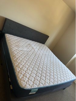 King bed frame and mattress