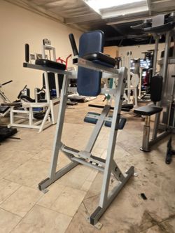 Hammer strength knee raise commercial gym equipment exercise weight