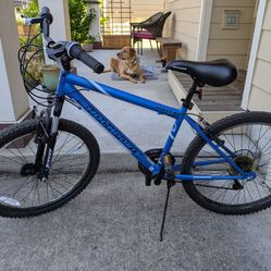 Kent Shockpoint Bike 24"
