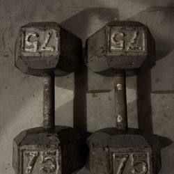 75 lb Dumbbells (Pair) – $150