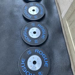 ROGIE TRAINING KG PLATES  ASKING $300 PAIR