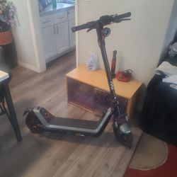 Niu Scooter 