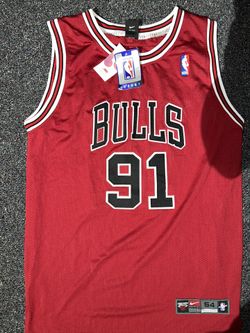 Vintage Official Nike Dennis Rodman Jersey