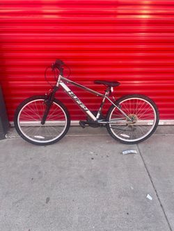 Bike 24”