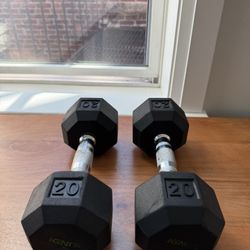 20 Pound Weights (Set Of 2)