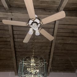 Ceiling Fan  And Chandelier 