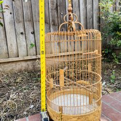 Cage BirdS