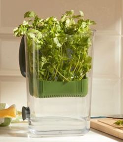 Recipiente para yerbas