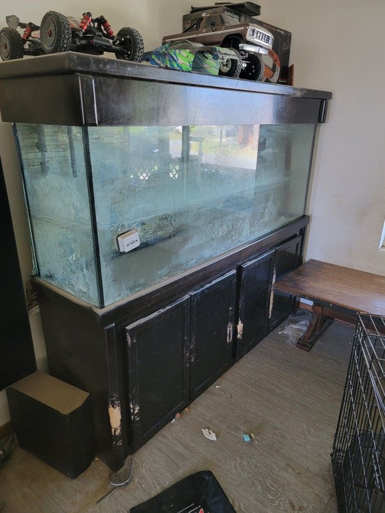 100 Gallon Aquarium With Accessories