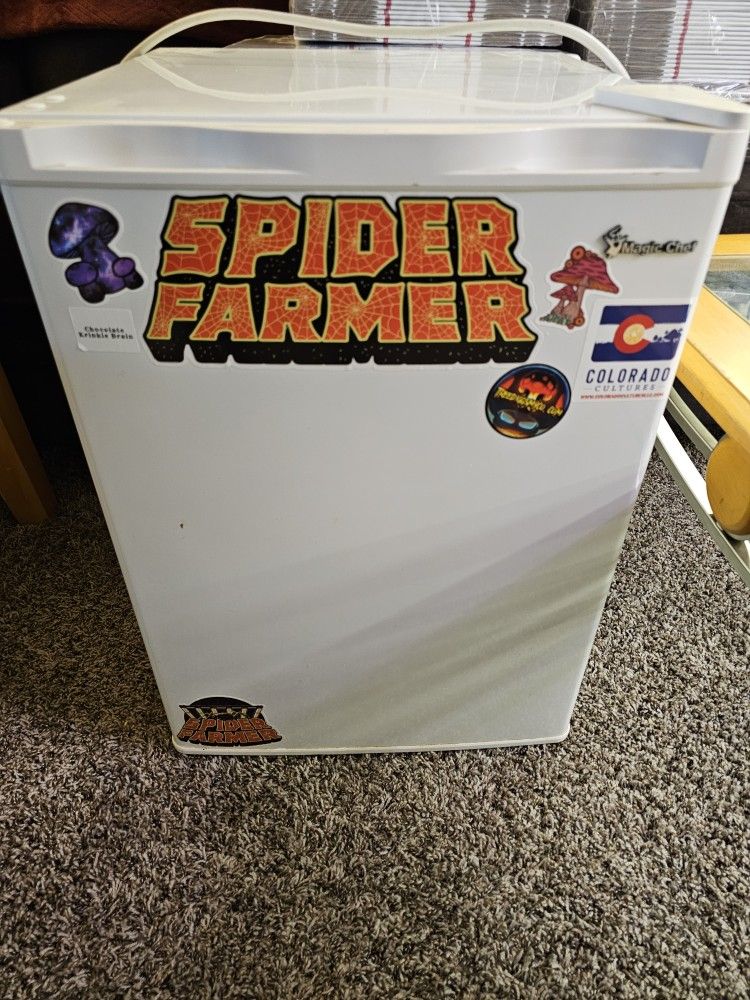 Mini Fridge