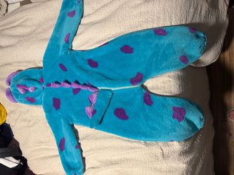 Sully Costum