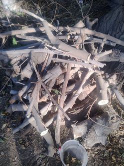 Fire wood