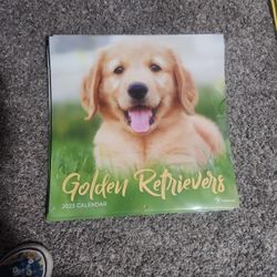 Golden Retriever 2023 Wall Calander 