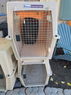 Petmate Dog Kennel Large