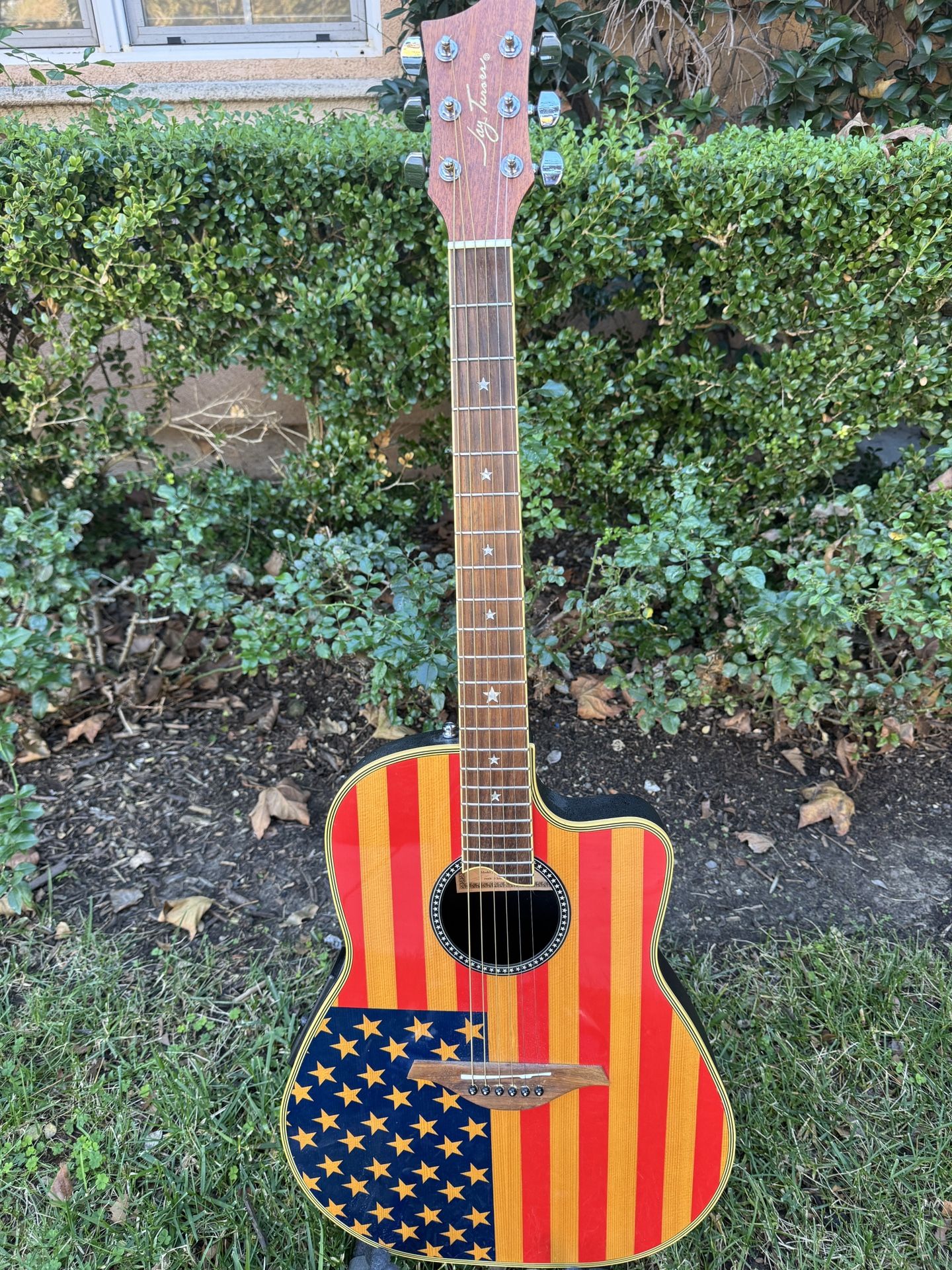 Jay Turser Flag Guitar  
