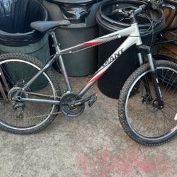Giant Mountain Bike 