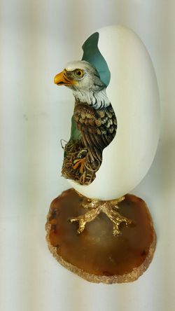 Eagle in Shell Thumbnail