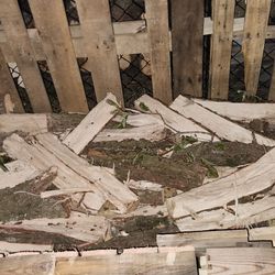 Firewood $25 For 30 Pieces 