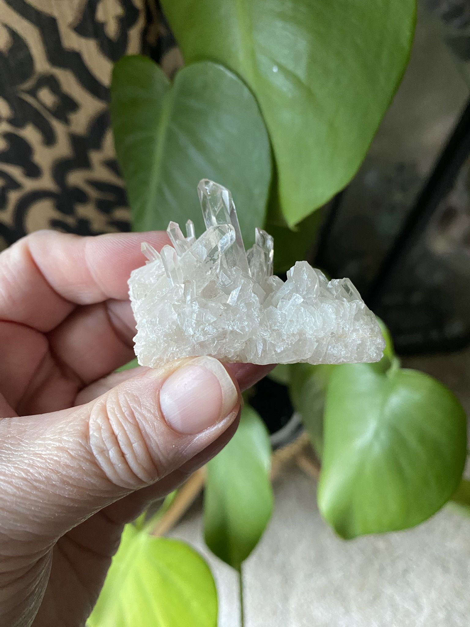 Clear Quartz Cluster
