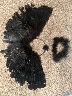 Black wings and halo