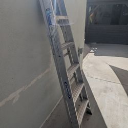 Warner Aluminum Ladder