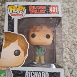 Richard From Silicon Valley