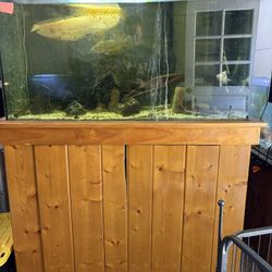 90 Gallon Fish Tank With Stand 
