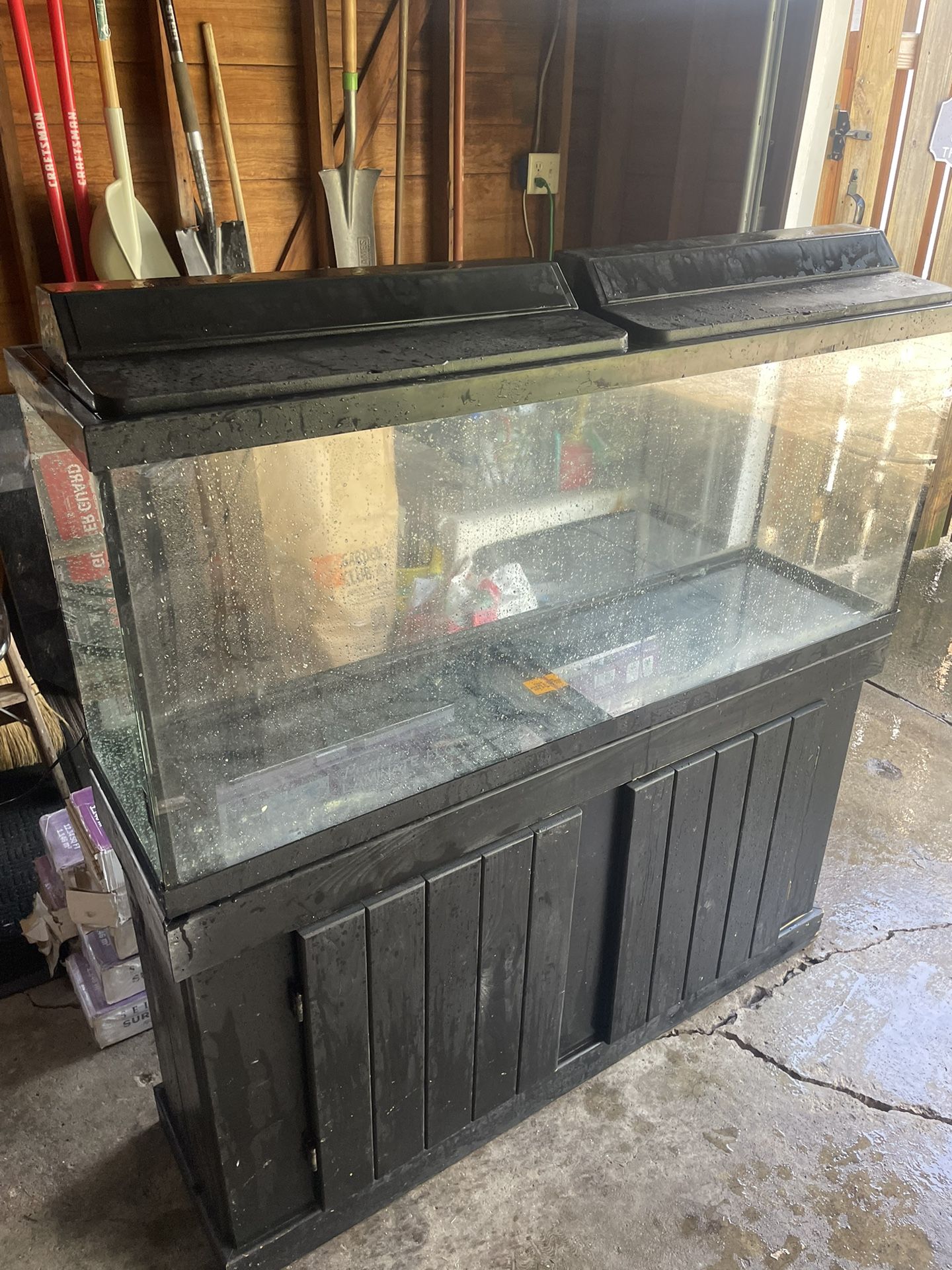 Fish Tank + Stand