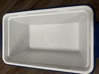 Coleman Cooler