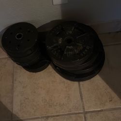 Weights 