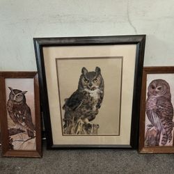 Owl Art 