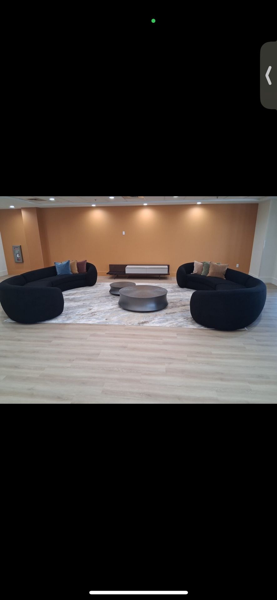 Curved Modern Sofa