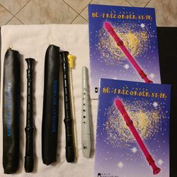 Kingsley Recorders  w/ case and 1 cleaning rod, Suzuki Recorder.   All For $10