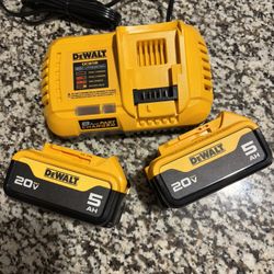 DeWalt Fast Charger With Two 5.0 Batteries 