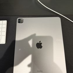 iPad Pro 12.9 Cellular 
