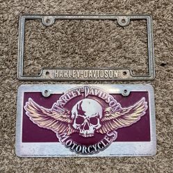License Plate And Frame