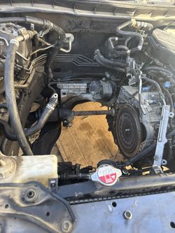 Accord Transmisson