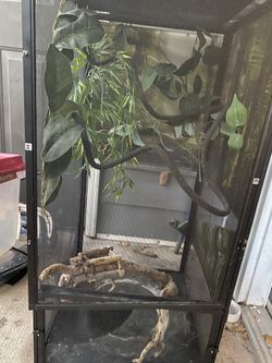 Chameleons Enclosure Or Any