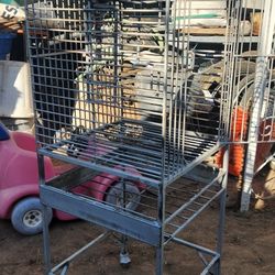 Bird Cage 