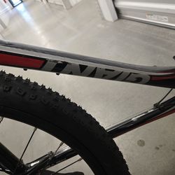 Giant mountain bike rebel I